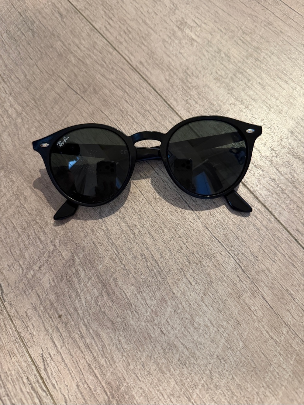 Ray-Ban Black Round Sunglasses